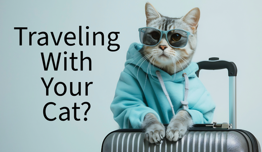 Traveling with Your Cat This Holiday Season: Top Essential Products