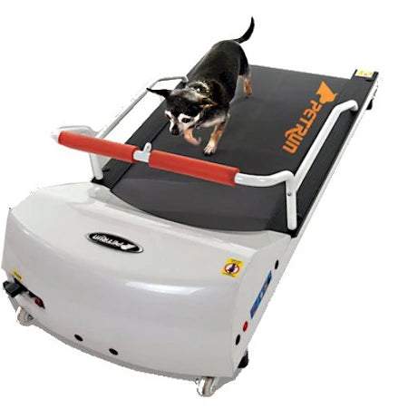 Dog Treadmills 