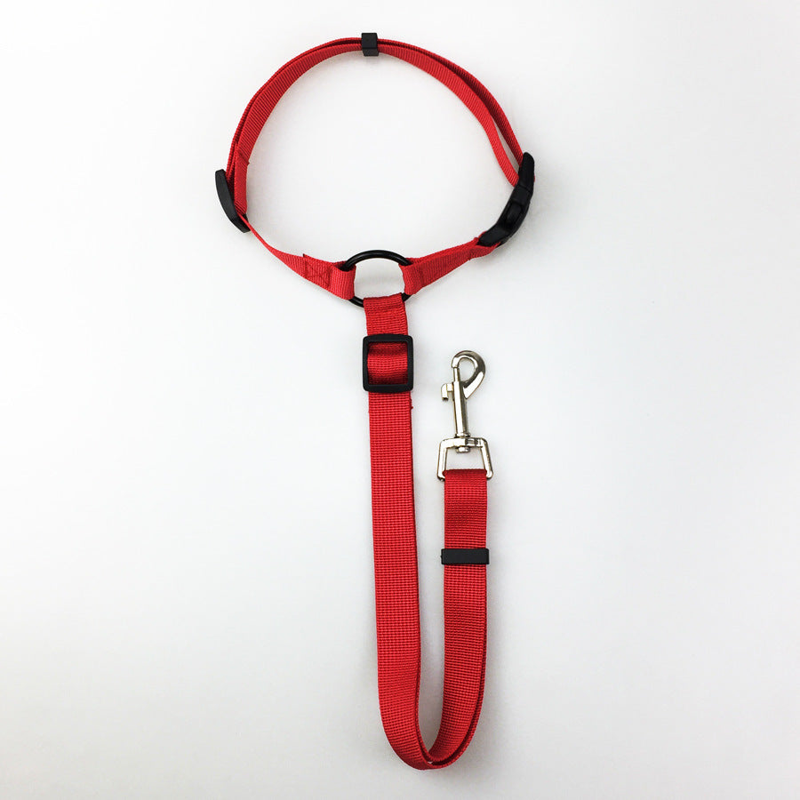 Pet safety leash 