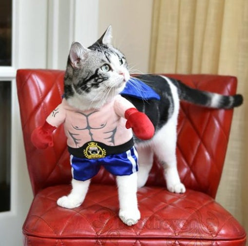 Boxer Cat Costume 