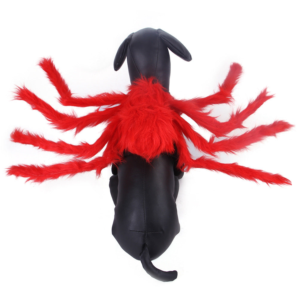 Pet Cat Dog Halloween Creative Spider Costume 