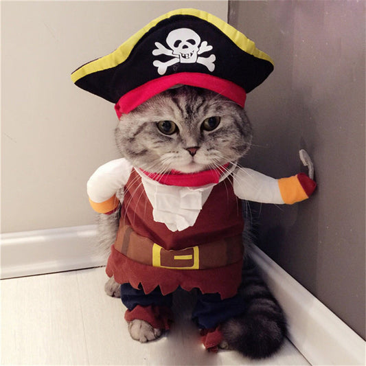 Teddy Pirate or Santa Pet Costume 