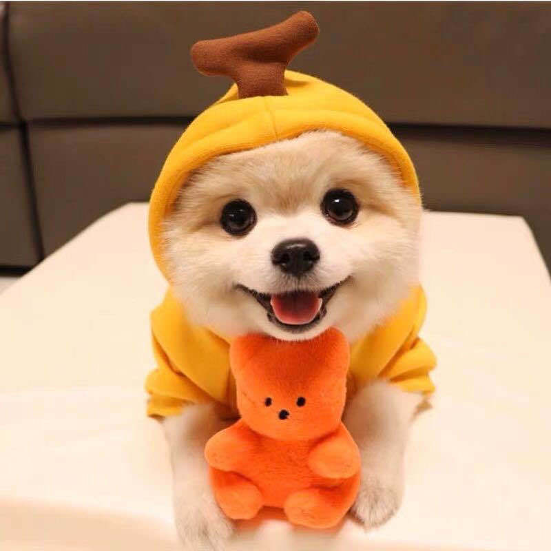 Cute Fruit Hoodies Winter Warm Fleece Pet Clothing 