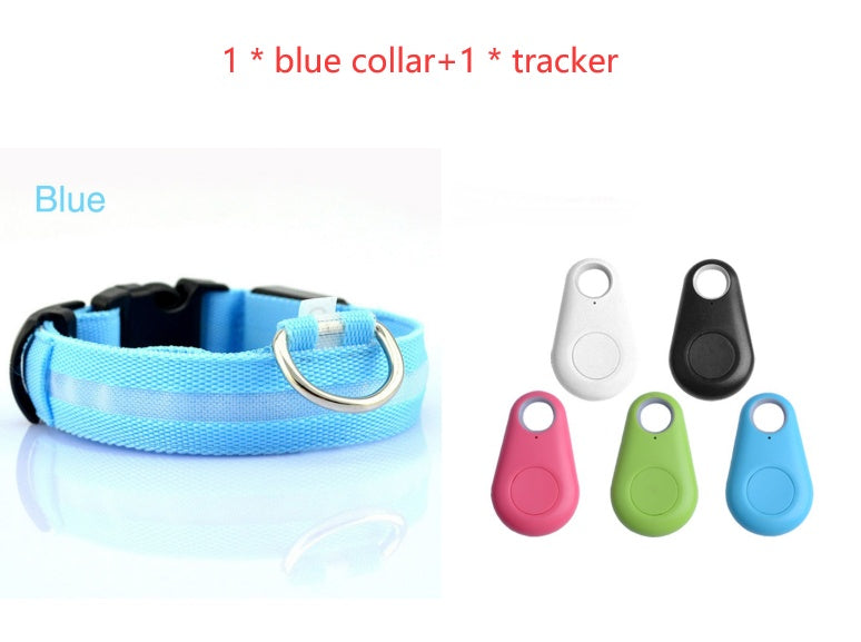 Safety Dog LED Collar 