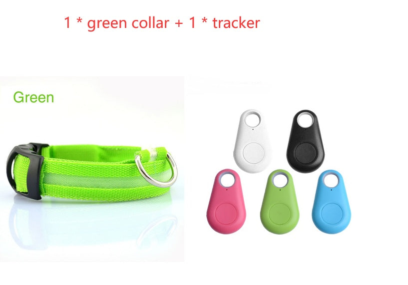 Safety Dog LED Collar 