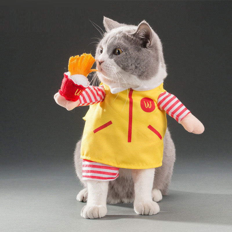 Hilarious Pet Costumes for Dogs and Cats of All Sizes 