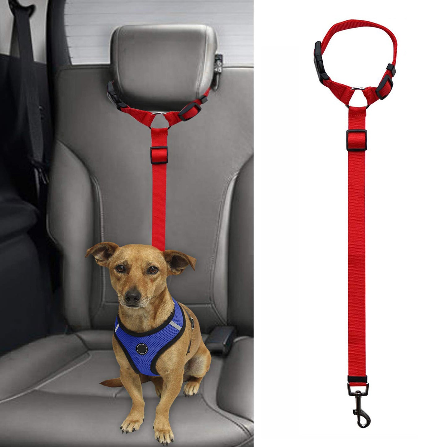 Pet safety leash 