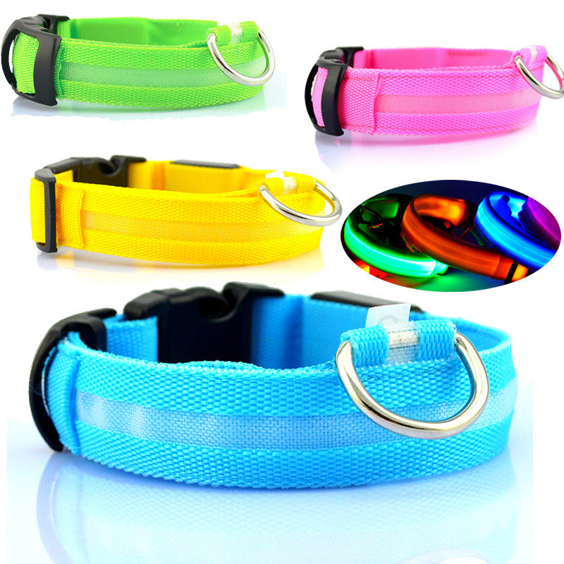 Safety Dog LED Collar 