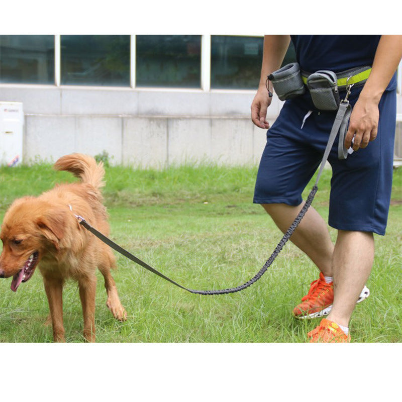 Adjustable Hands Free Dog Leash 