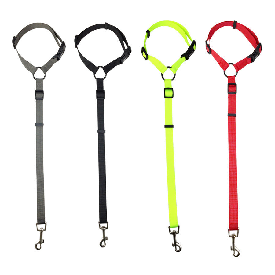 Pet safety leash 