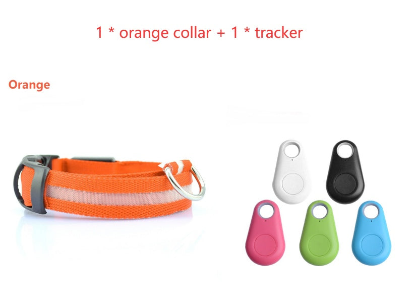 Safety Dog LED Collar 