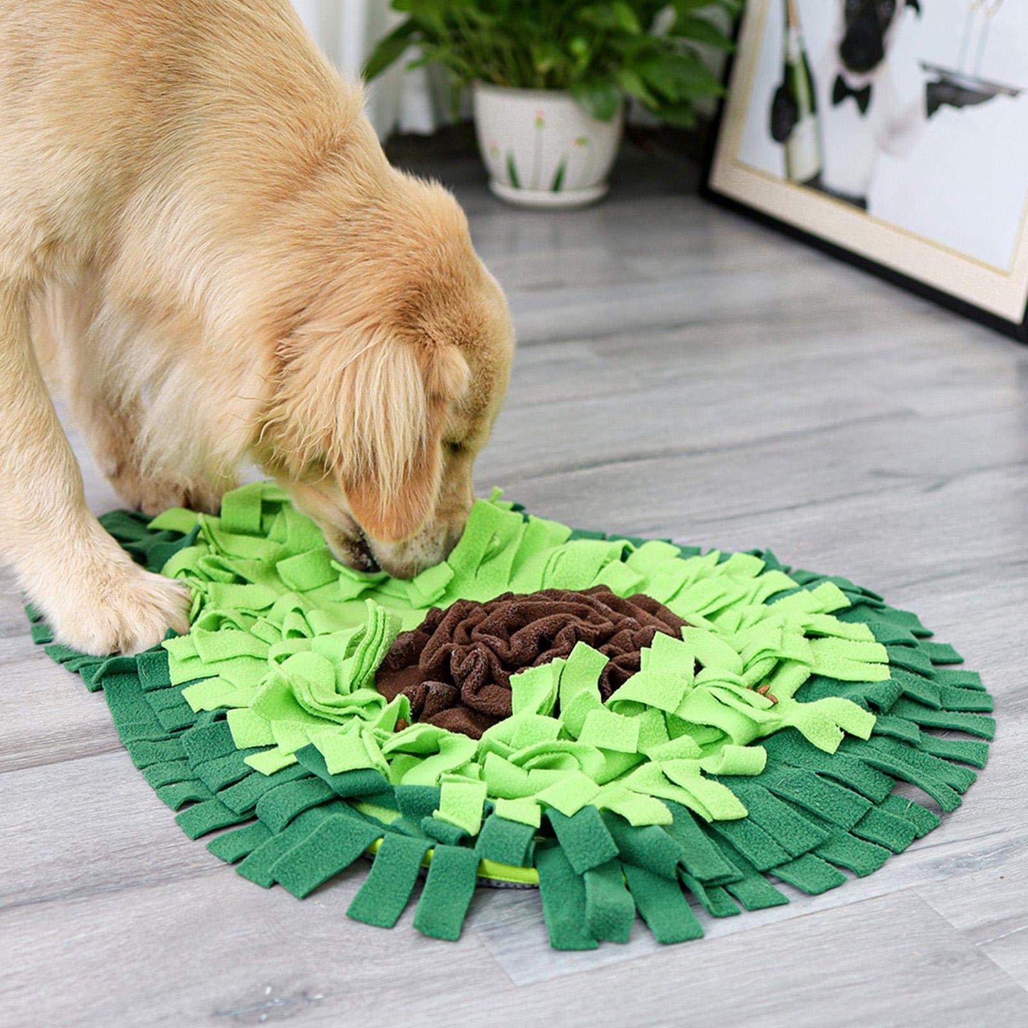 Avocado Adventure Snuffle Mat for Dogs 