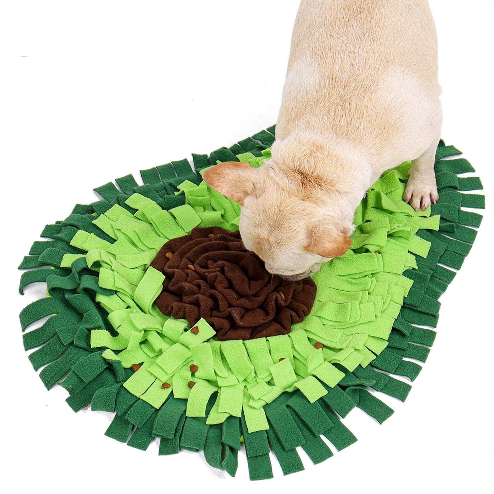 Avocado Adventure Snuffle Mat for Dogs 