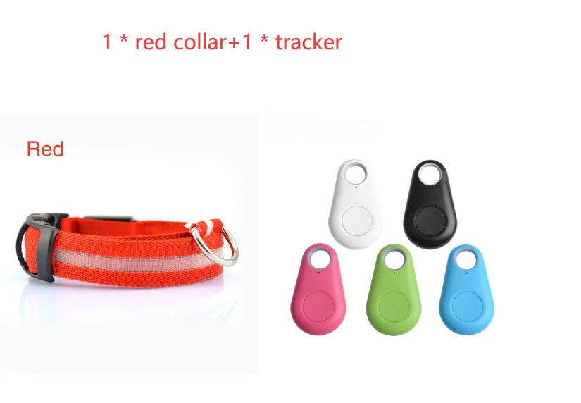 Safety Dog LED Collar 