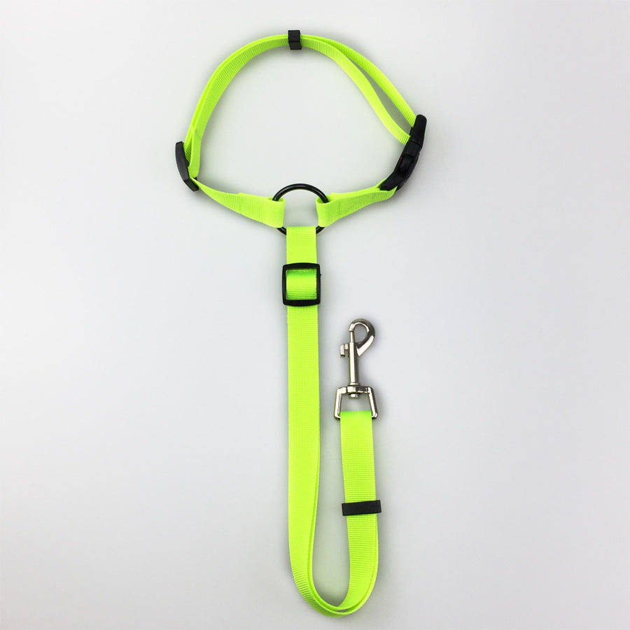 Pet safety leash 