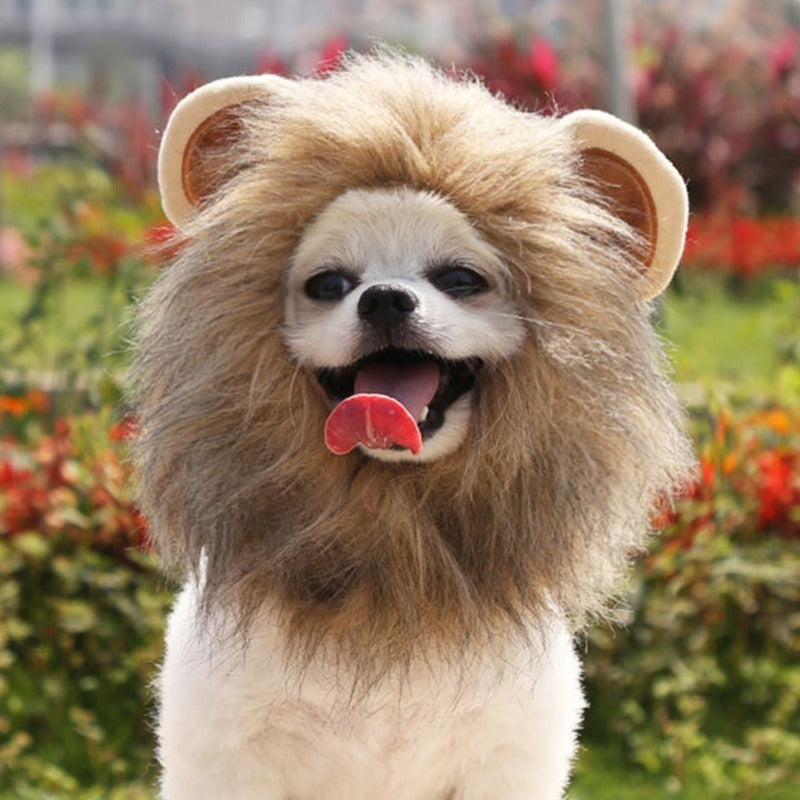 Pet Costume - Lion Mane 