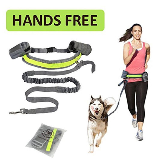 Adjustable Hands Free Dog Leash 