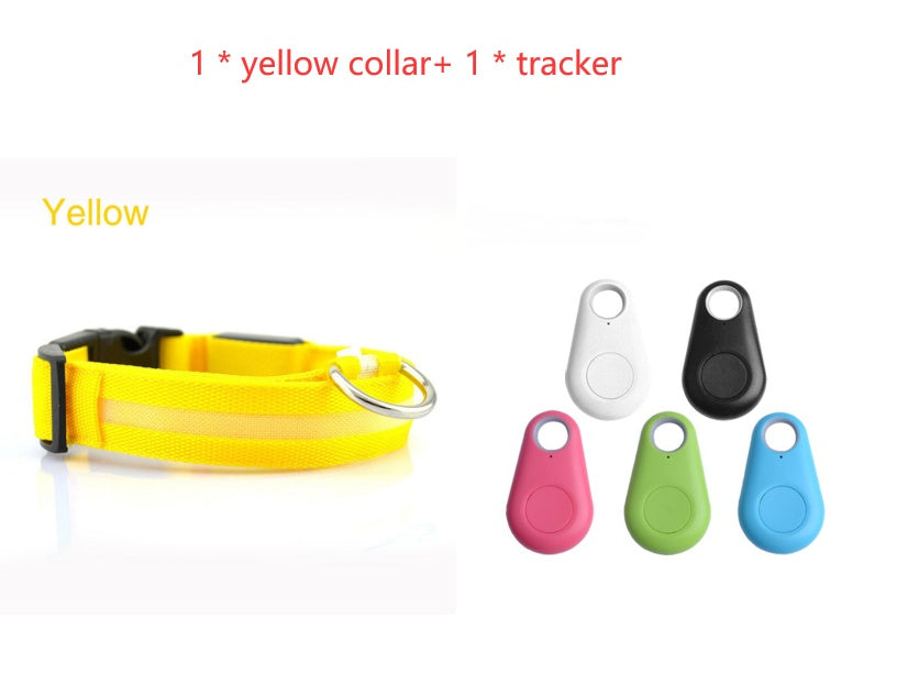 Safety Dog LED Collar 