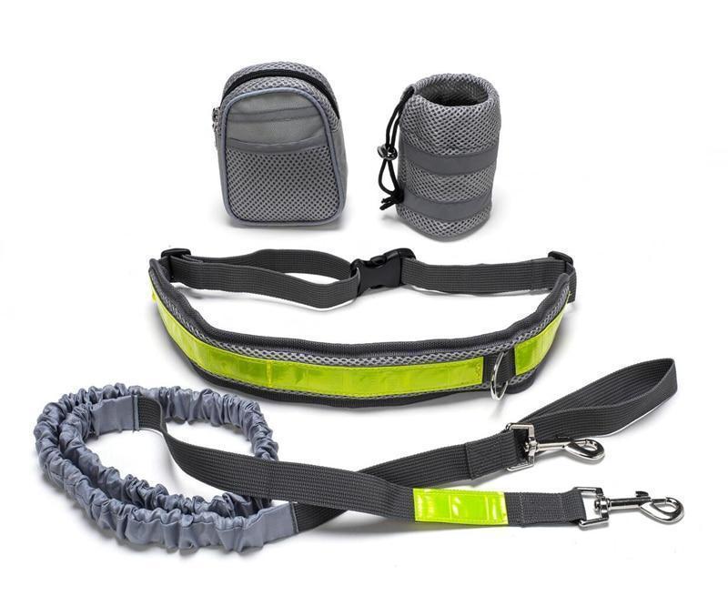 Adjustable Hands Free Dog Leash 