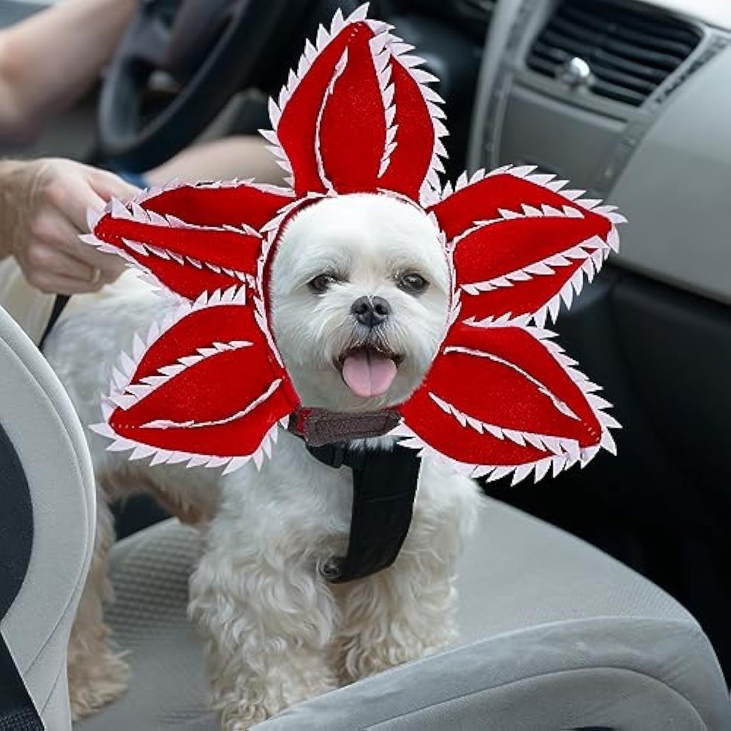 Pet Halloween Chomper Costume - Pet Holiday Demon Hat 