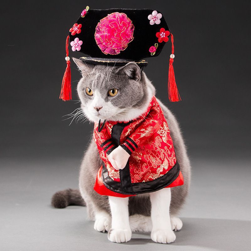 Hilarious Pet Costumes for Dogs and Cats of All Sizes 