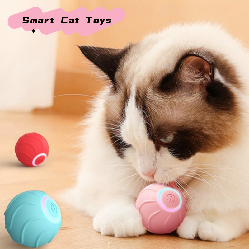 BounceBuddy: Automatic Bouncing Cat Toy Ball 