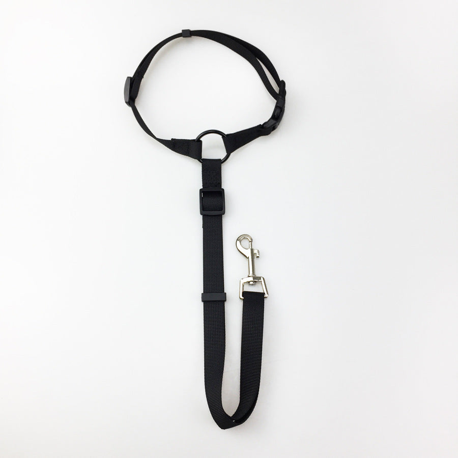 Pet safety leash 