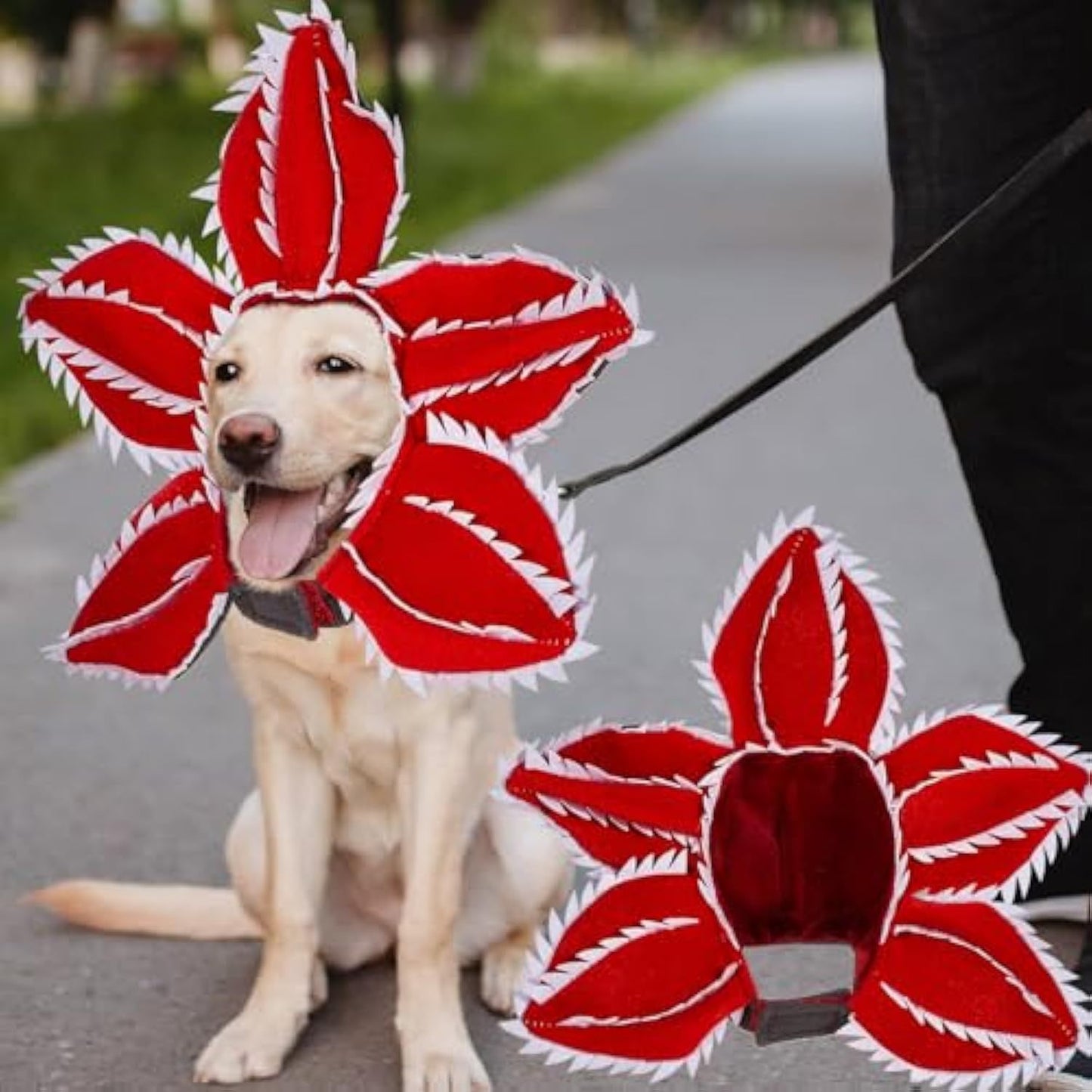 Pet Halloween Chomper Costume - Pet Holiday Demon Hat 