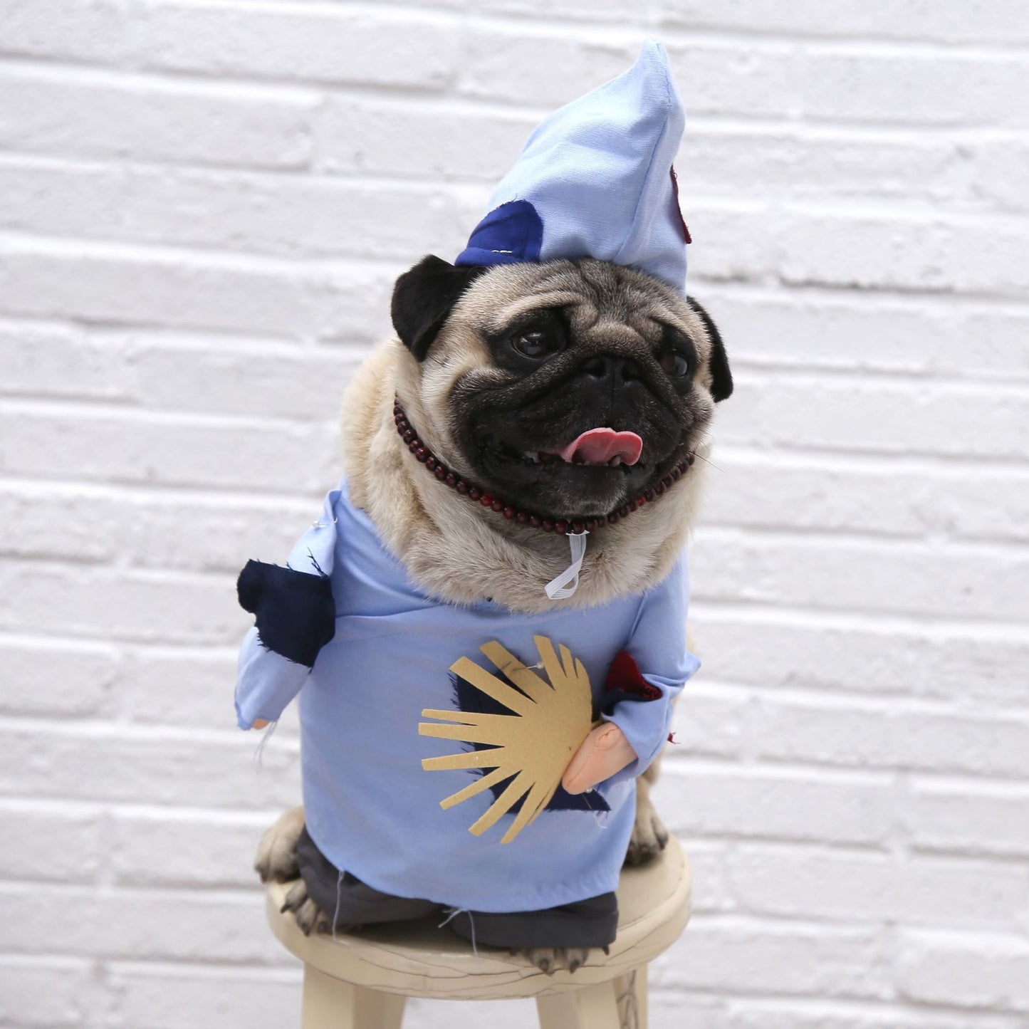 Hilarious Pet Costumes for Dogs and Cats of All Sizes 