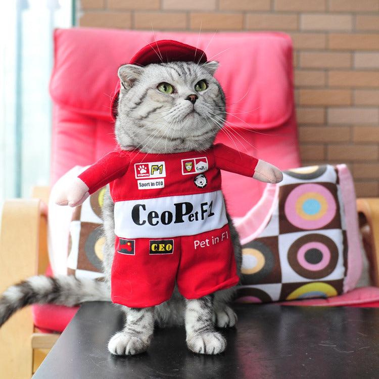 Hilarious Pet Costumes for Dogs and Cats of All Sizes 