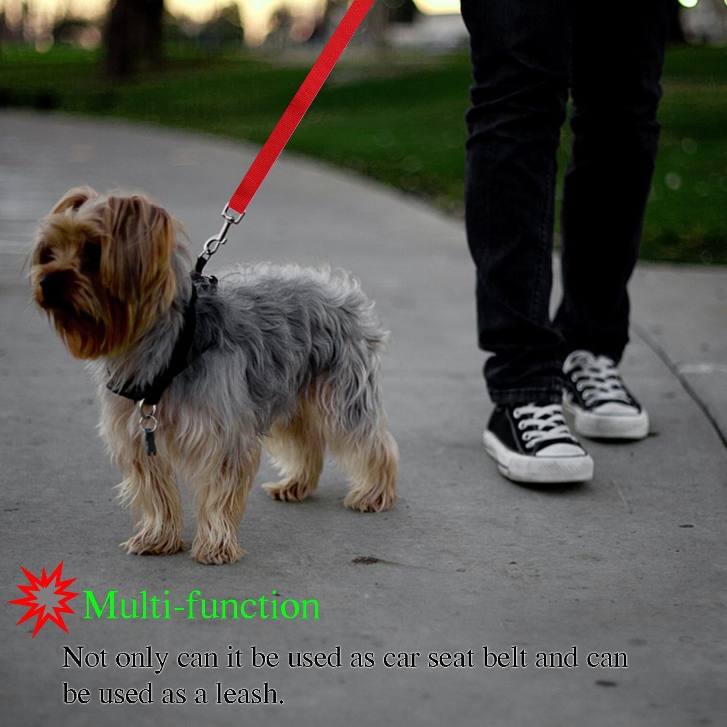 Pet safety leash 