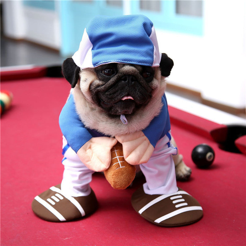 Hilarious Pet Costumes for Dogs and Cats of All Sizes 