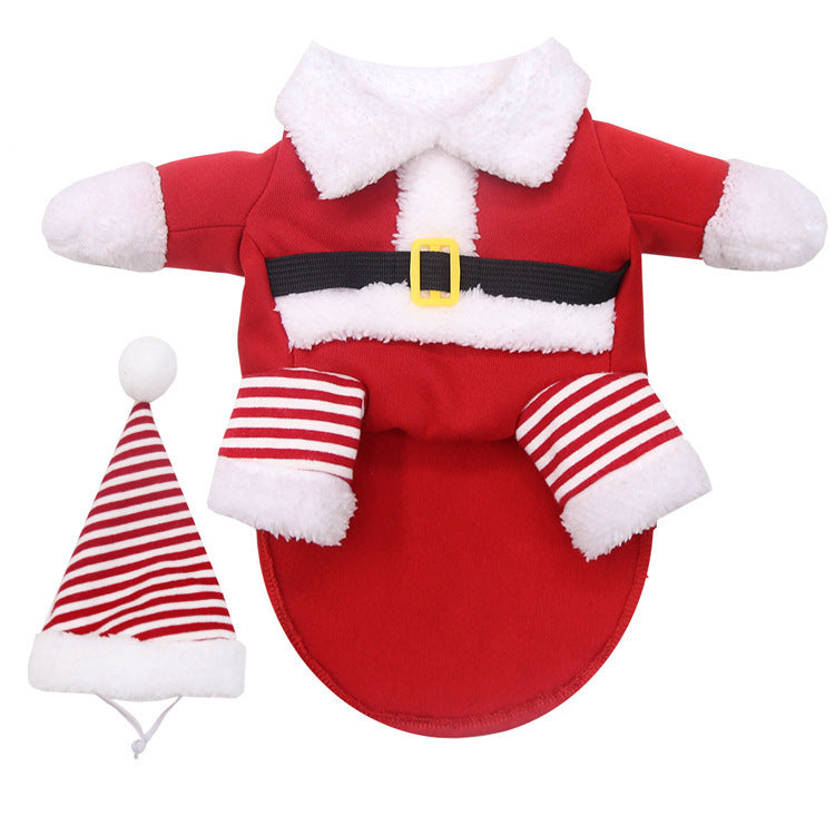 Teddy Pirate or Santa Pet Costume 