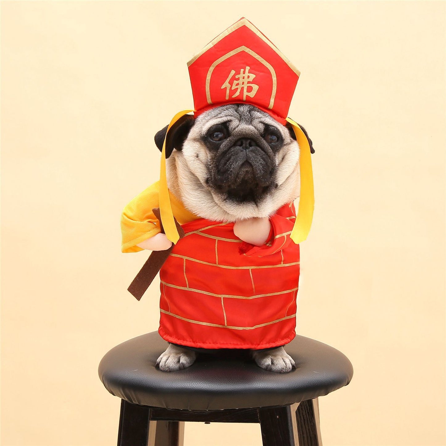 Hilarious Pet Costumes for Dogs and Cats of All Sizes 