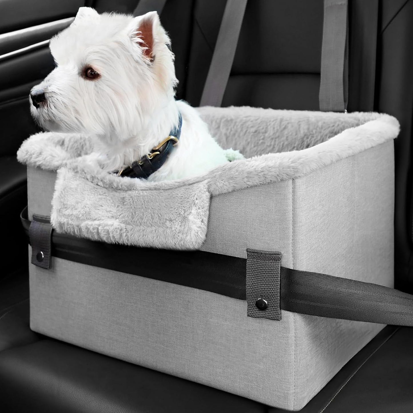 Portable Small Dog Car Seat Dog Booster Seat For Car With Clip-On Safety Leash Perfect For Small Pets Pet Products 