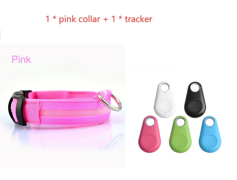 Safety Dog LED Collar 