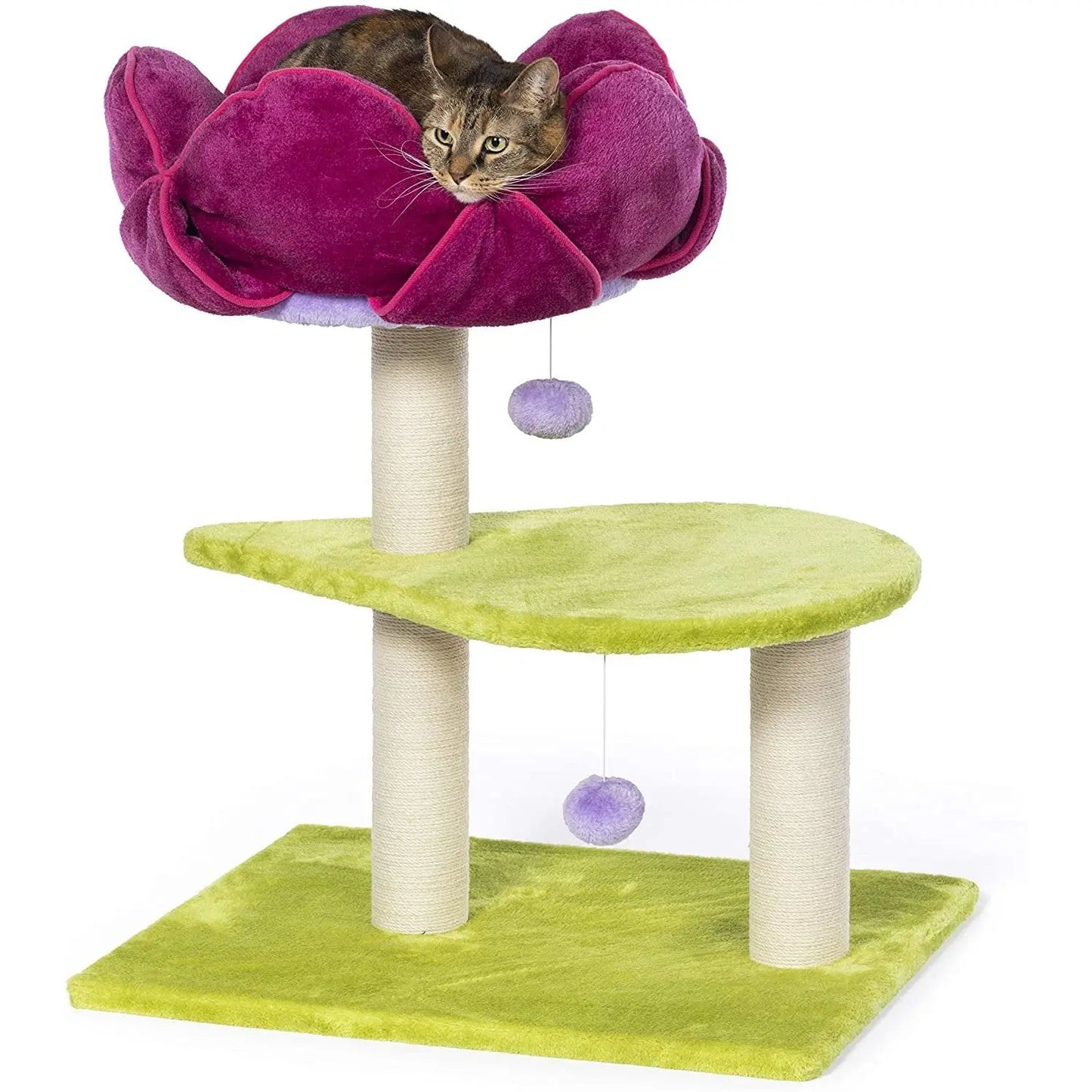 Prevue Pet Products Flower Power 