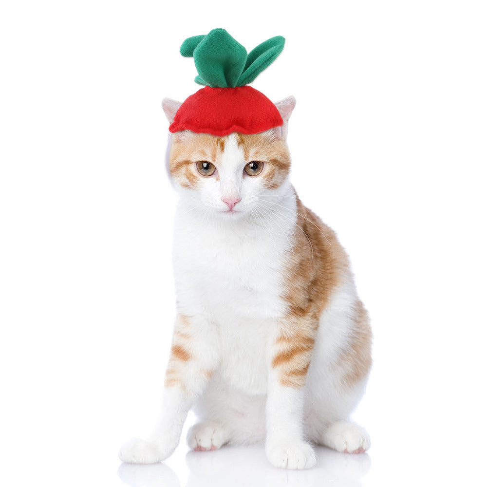 Funny Pet Costume Warm Hat Photo Prop! 