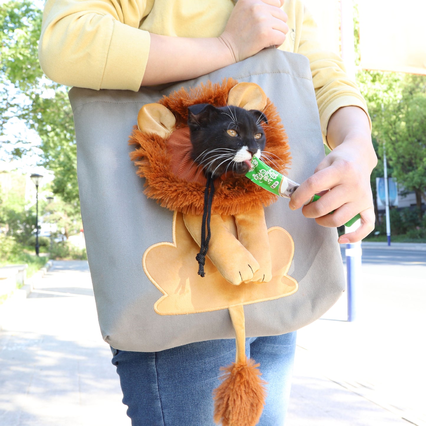 Soft Pet Carriers Lion Design Portable Breathable Bag Cat Dog Carrier Bags Outgoing Travel Pets Handbag With Safety Zippers 