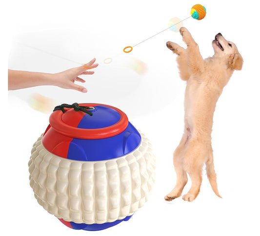 SpinFetch Interactive Dog Training Ball 