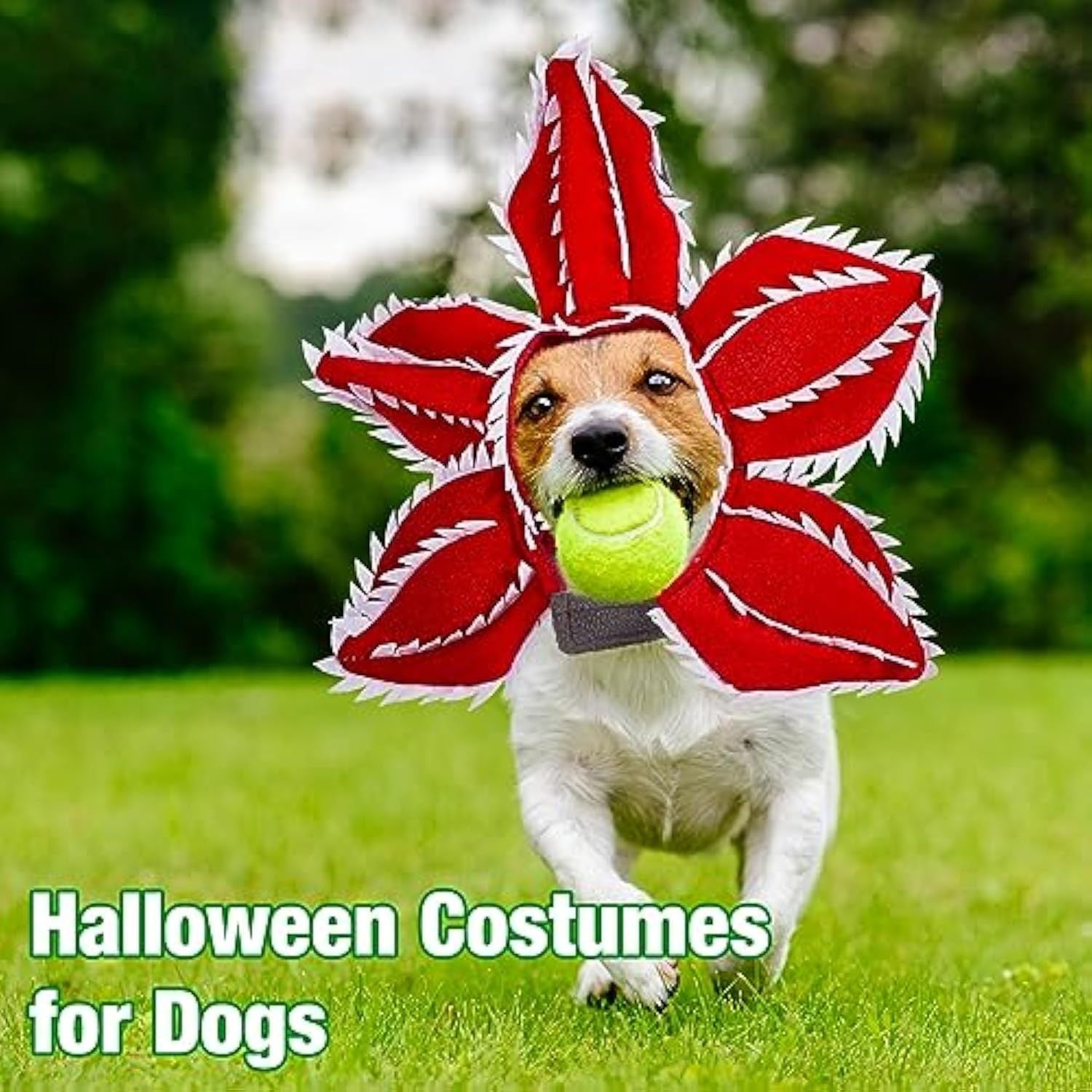 Pet Halloween Chomper Costume - Pet Holiday Demon Hat 