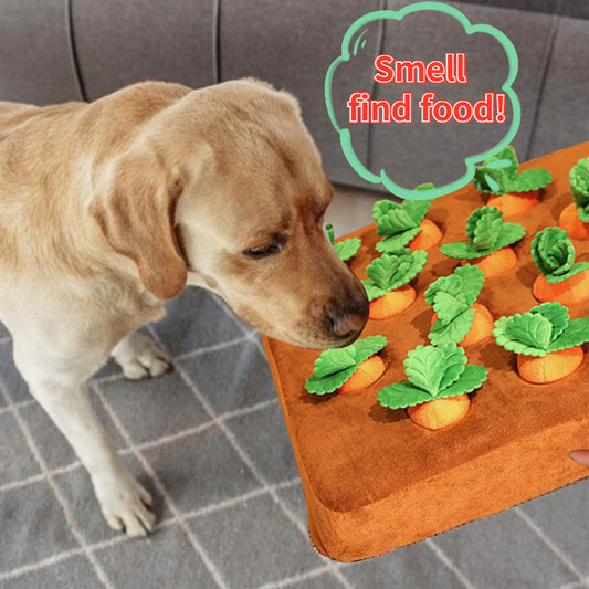 Carrot Craze Chew & Snuffle Toy for Dogs 