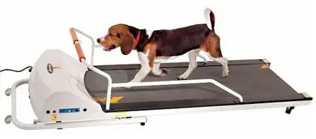 PetRun PR720F Dog Treadmill 