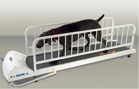 PetRun PR725 Dog Treadmill 