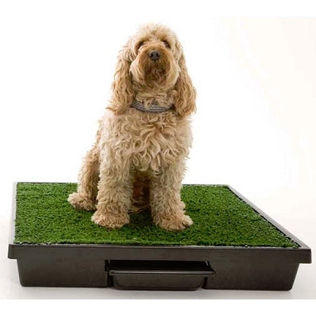 Pet Loo Potty Training System - Medium